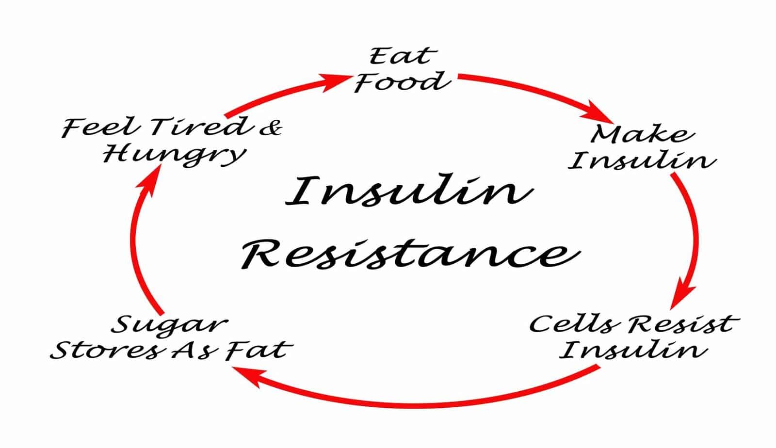 Fasting Insulin Test: What Is Insulin & How to Manage Its Levels