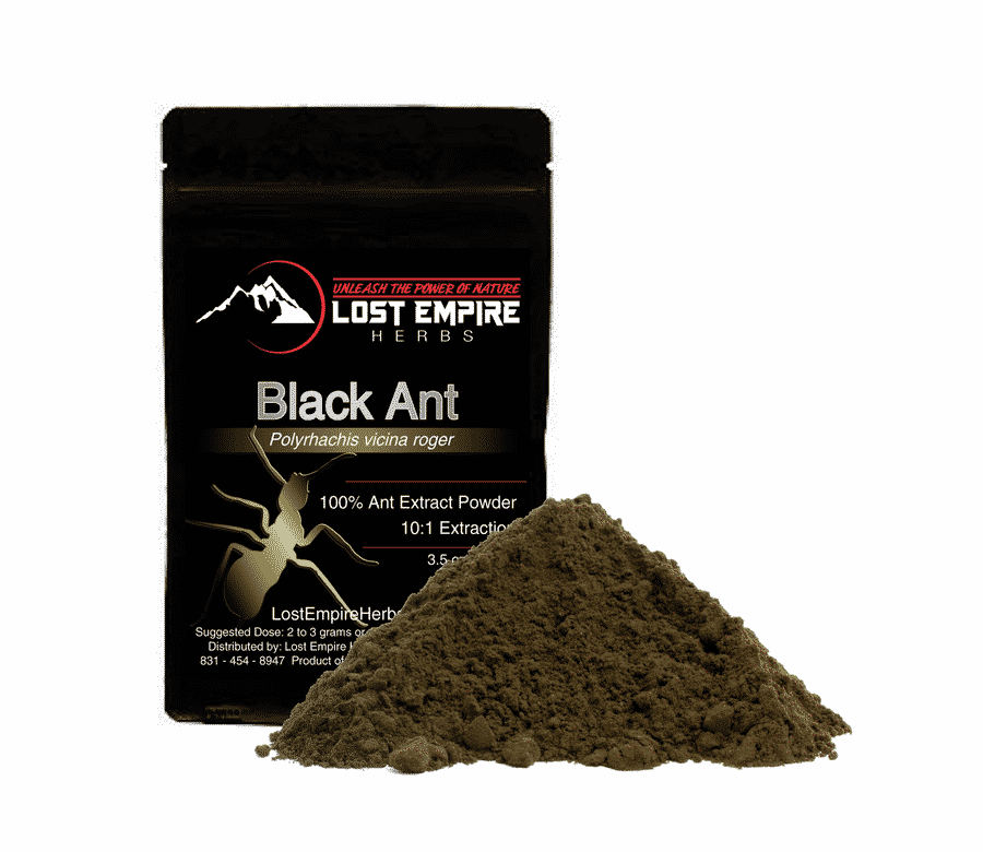 Black Ant Extract Powder