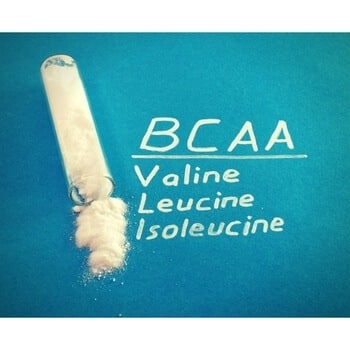 bcaa powder bcaa powder