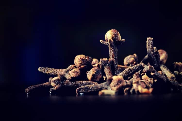 close up shot of a clove