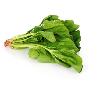 fresh spinach