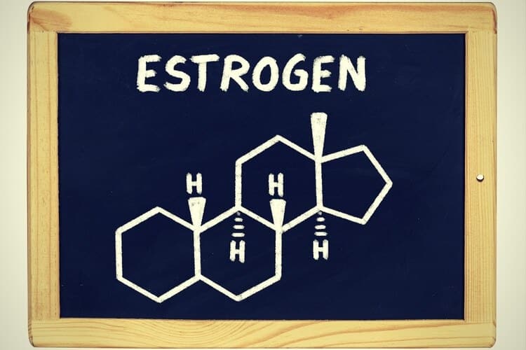 estrogen