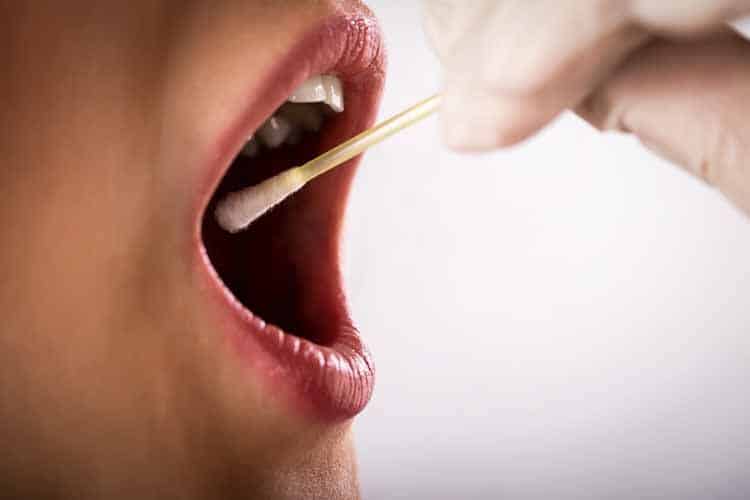 saliva testing saliva testing
